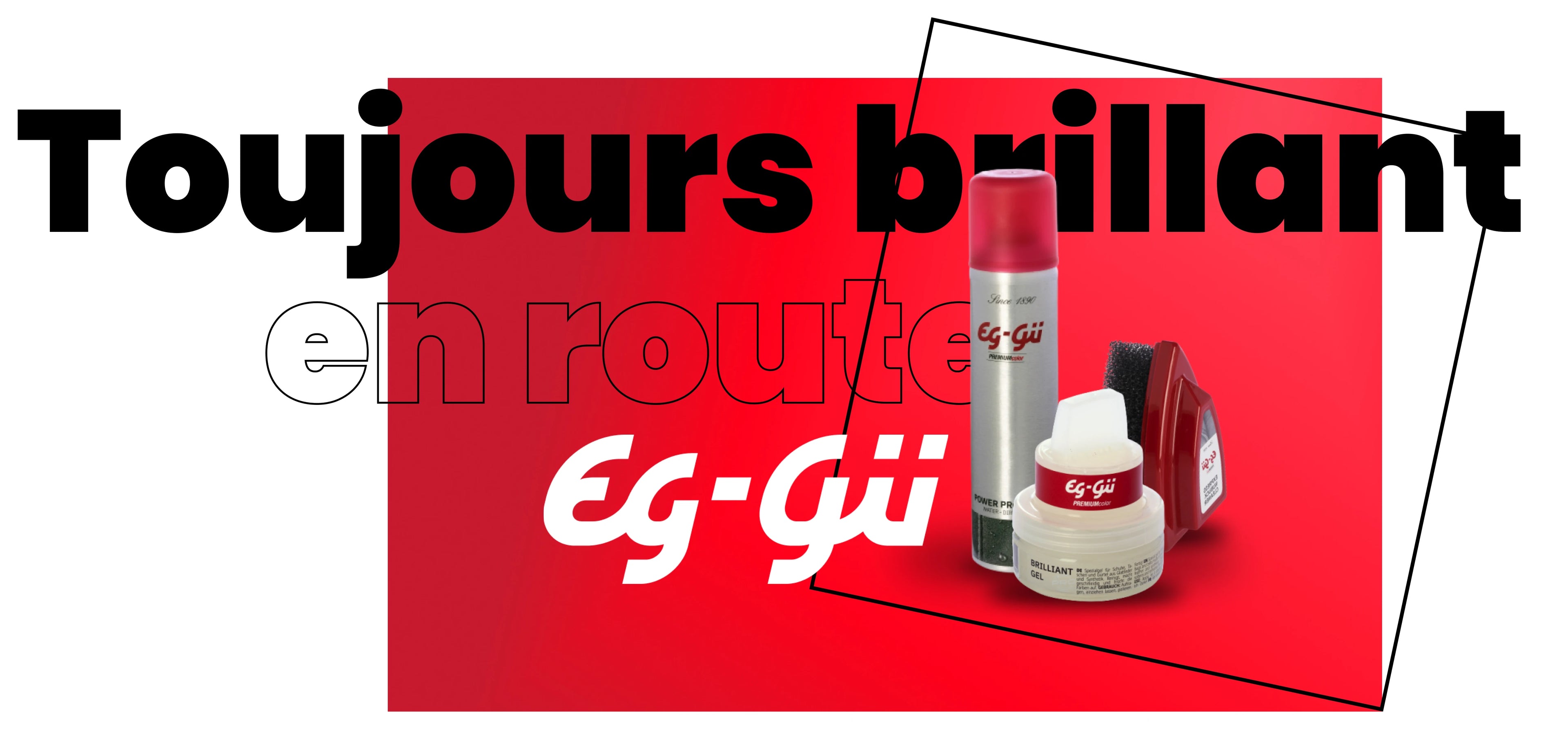 EG-GÜ soin des chaussures pour nettoyer, entretenir et protéger