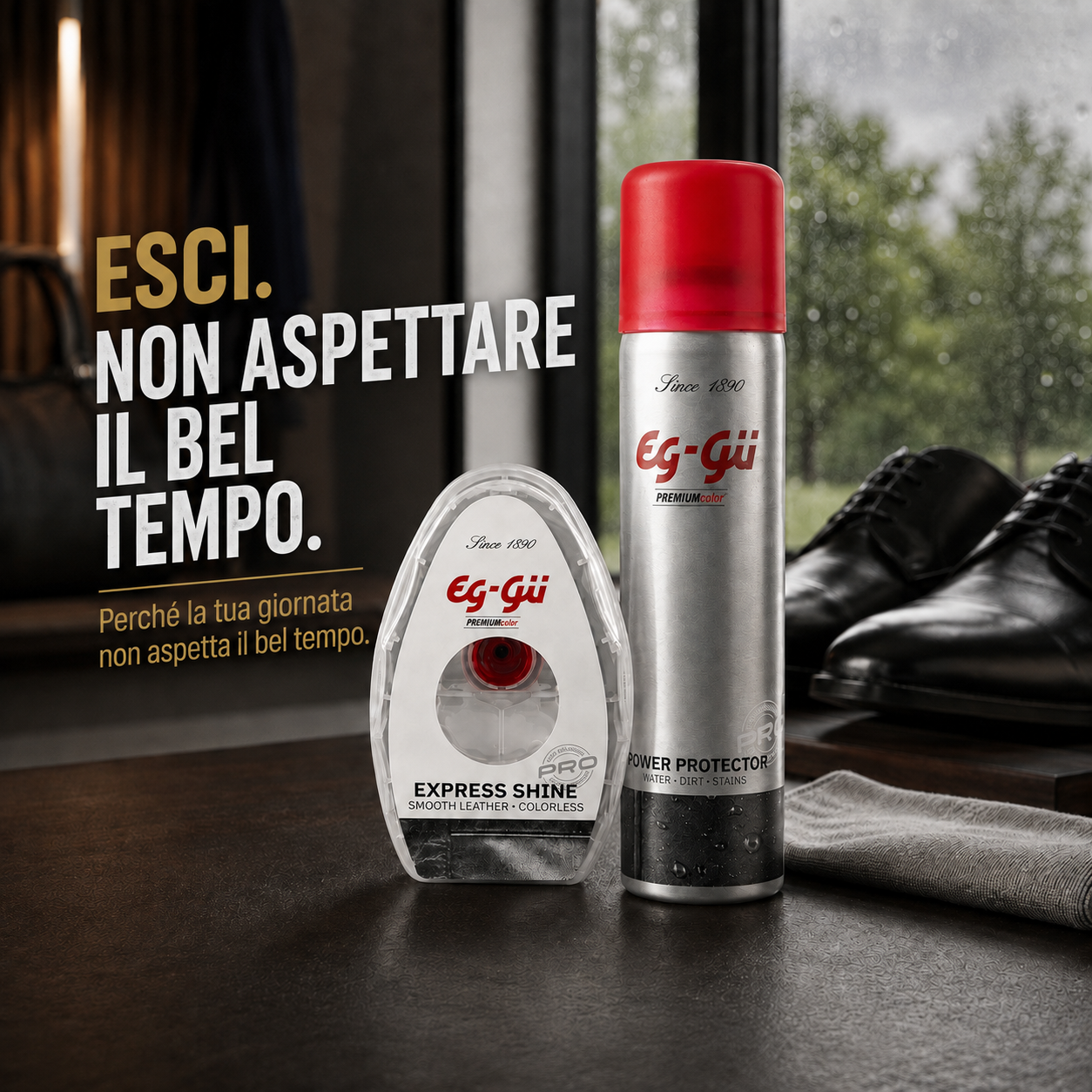 Set incoloro Express Shine esponja autobrillante & Power Protector