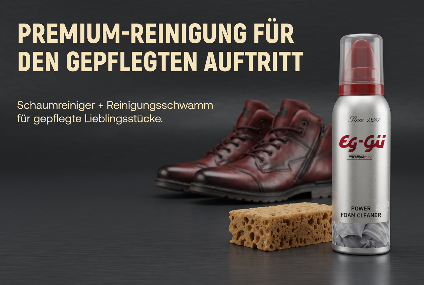 Premium Power Foam Cleaner Set 125 ml Vorteile und Ergebnis